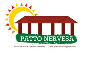Patto Nervesa